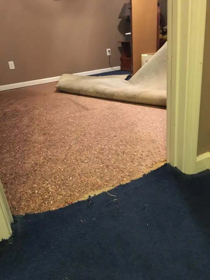 Carpet pad removal revealing water damage during Drying & Dehumidification in South Salt Lake