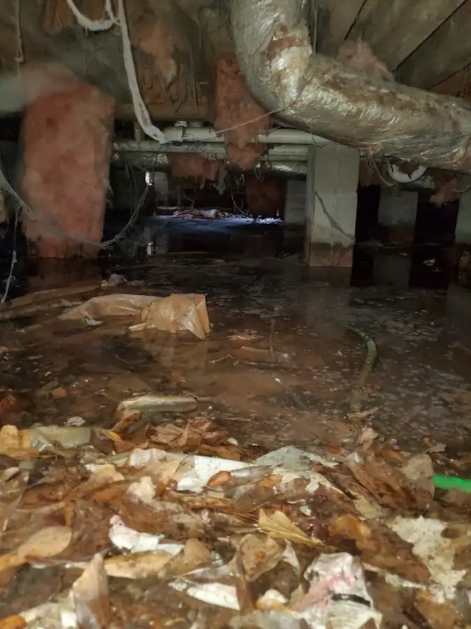 Crawl space flood assessment for Commercial Water Damage Restoration in South Salt Lake