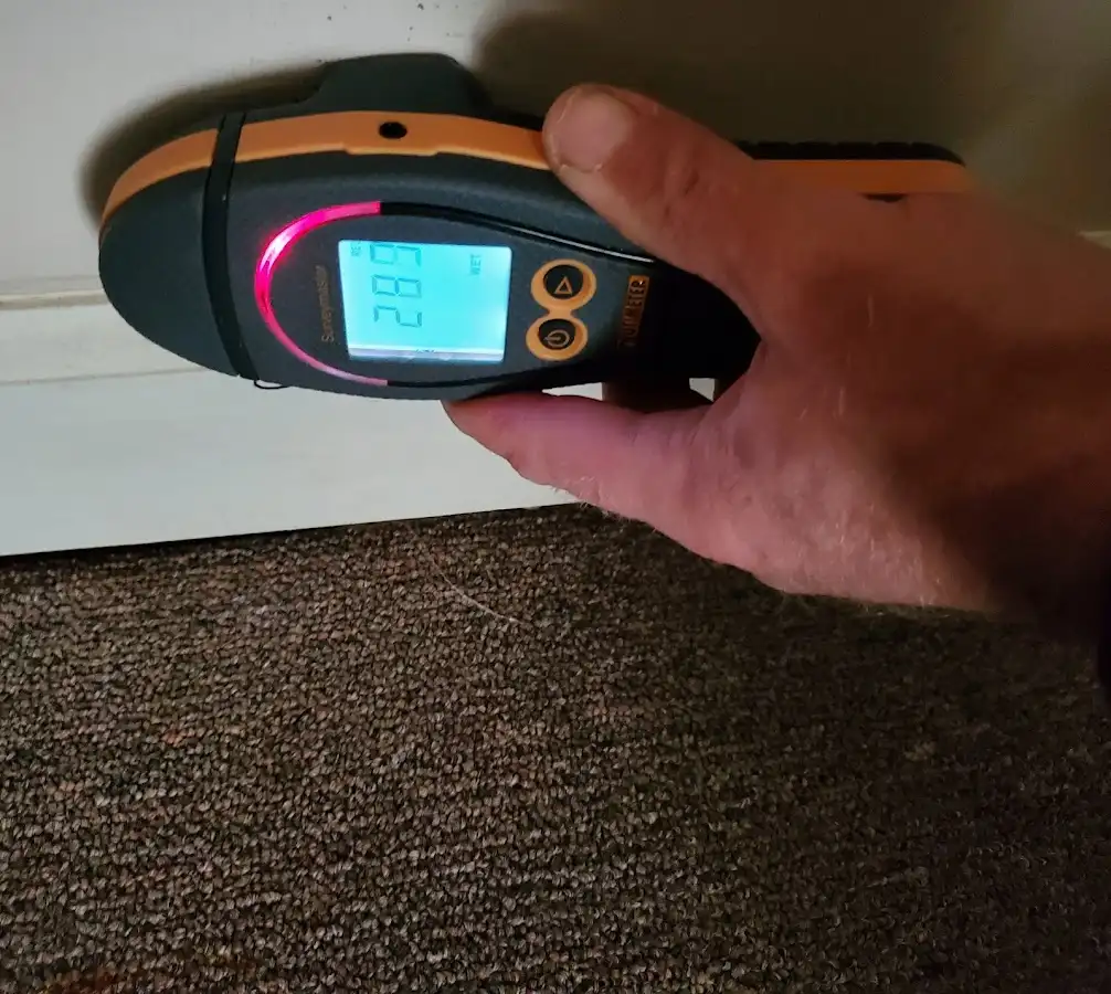 Moisture detection at baseboard during Mold Inspection & Testing in South Salt Lake